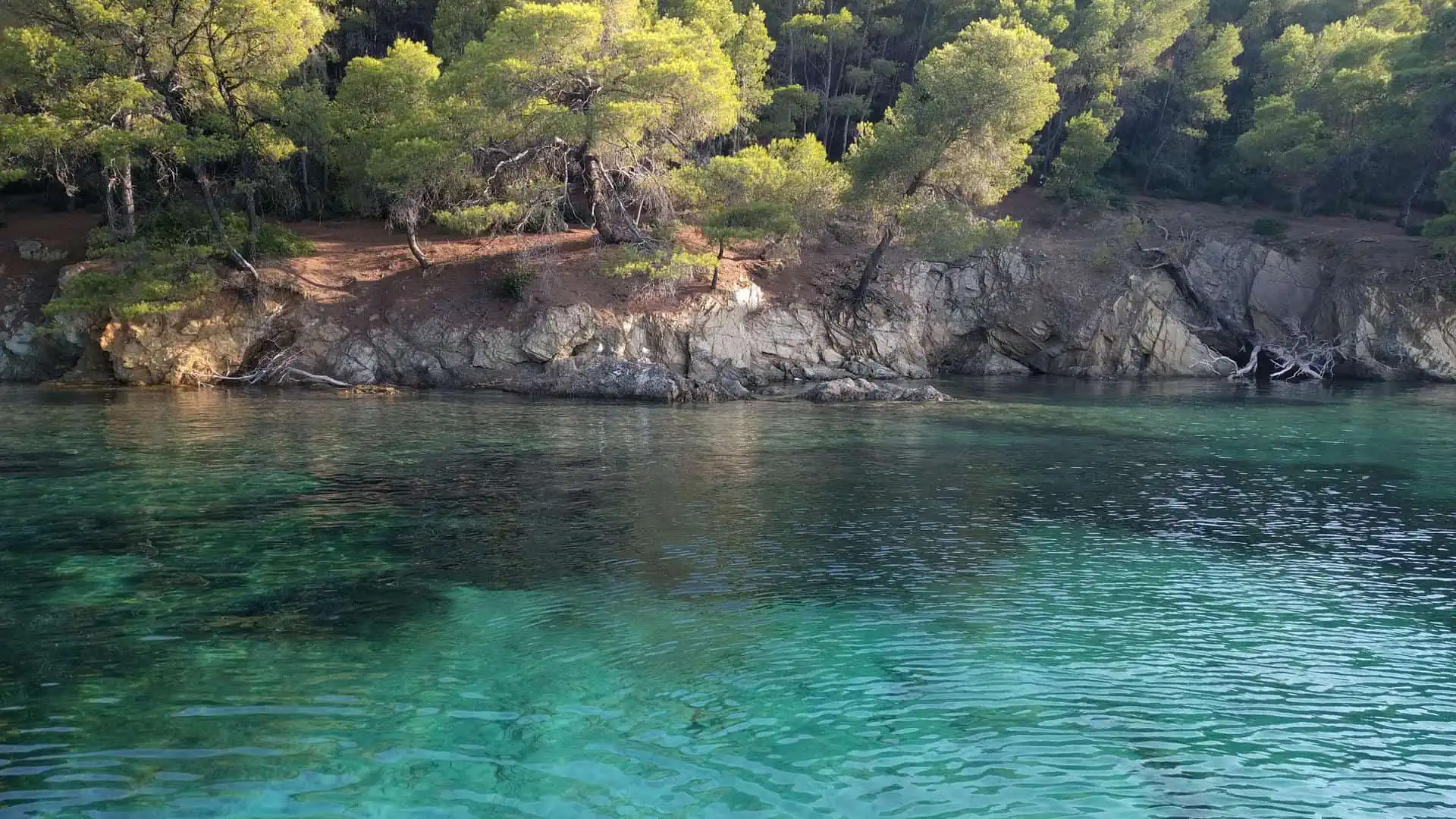 Sithonia – Kamenos secluded cove at Porto Carras